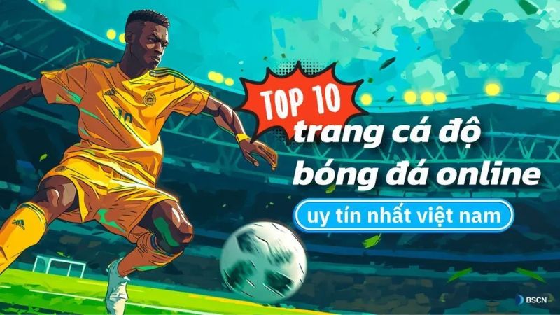 web cá độ bóng đá uy tín