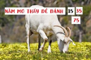 Nằm mơ thấy dê đánh con gì - giải mã giấc mơ