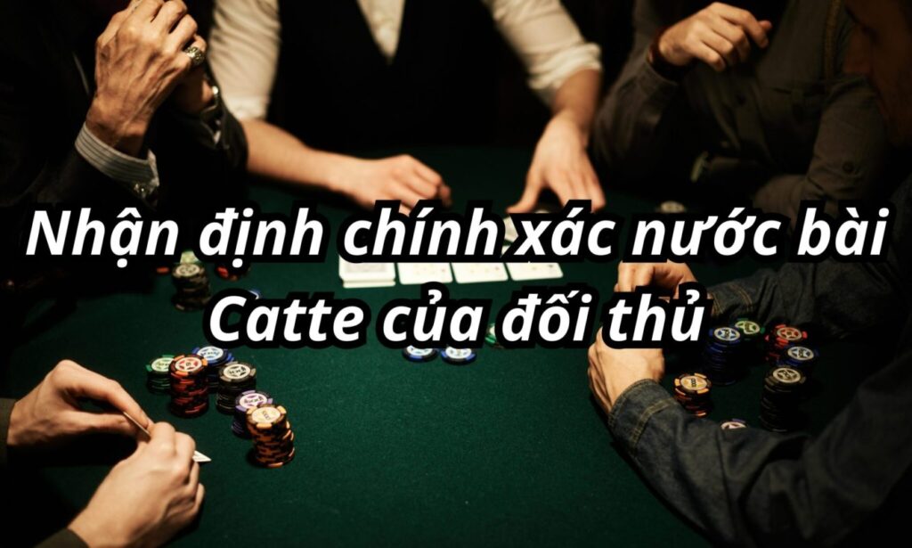 Cách tham gia chơi 1 ván bài catte Vinbet hoàn chỉnh