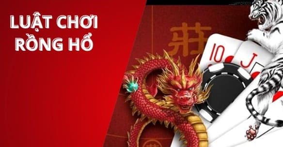 Luật chơi Long Hổ tại nhà cái Vinbet